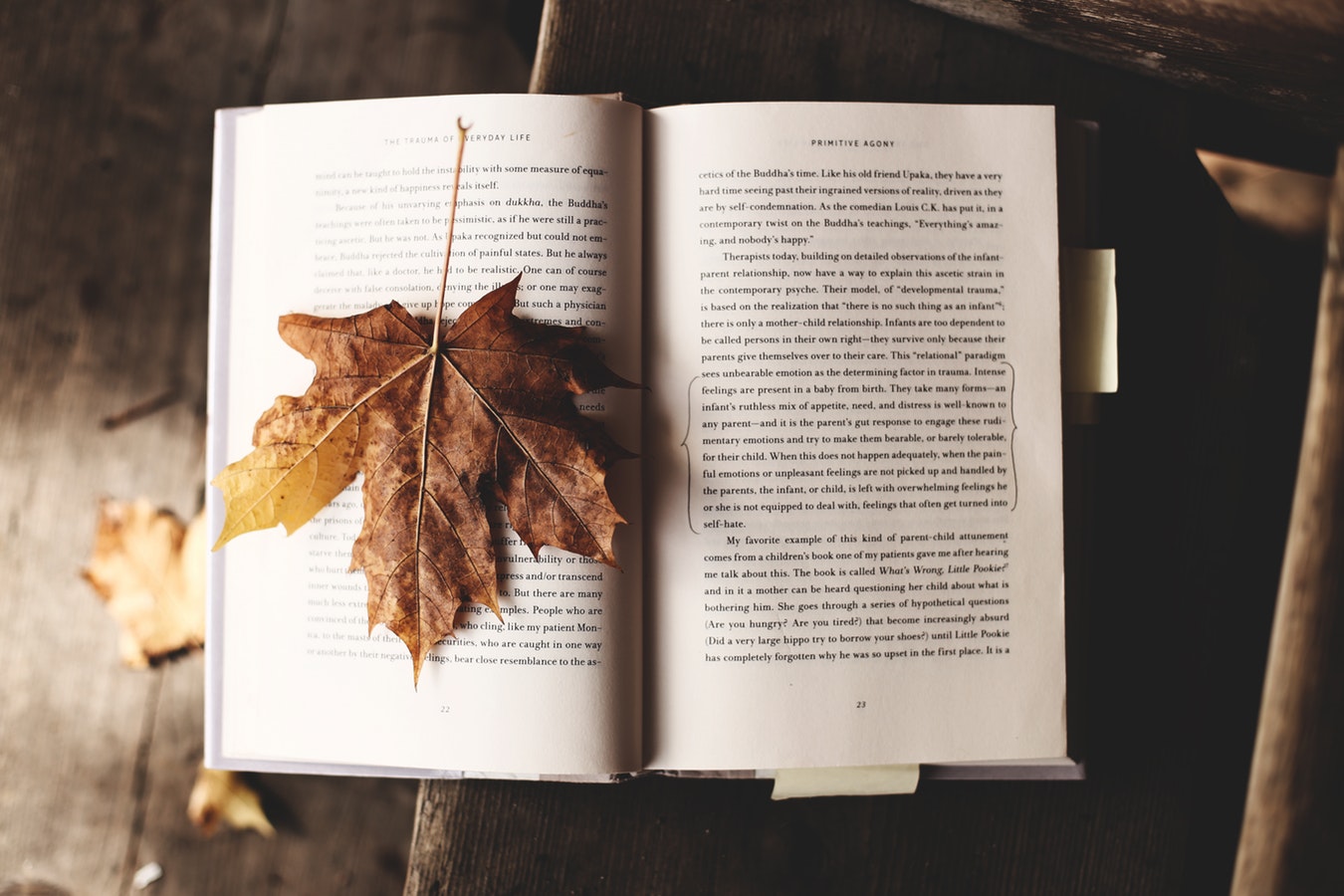 libro con foglia.jpg